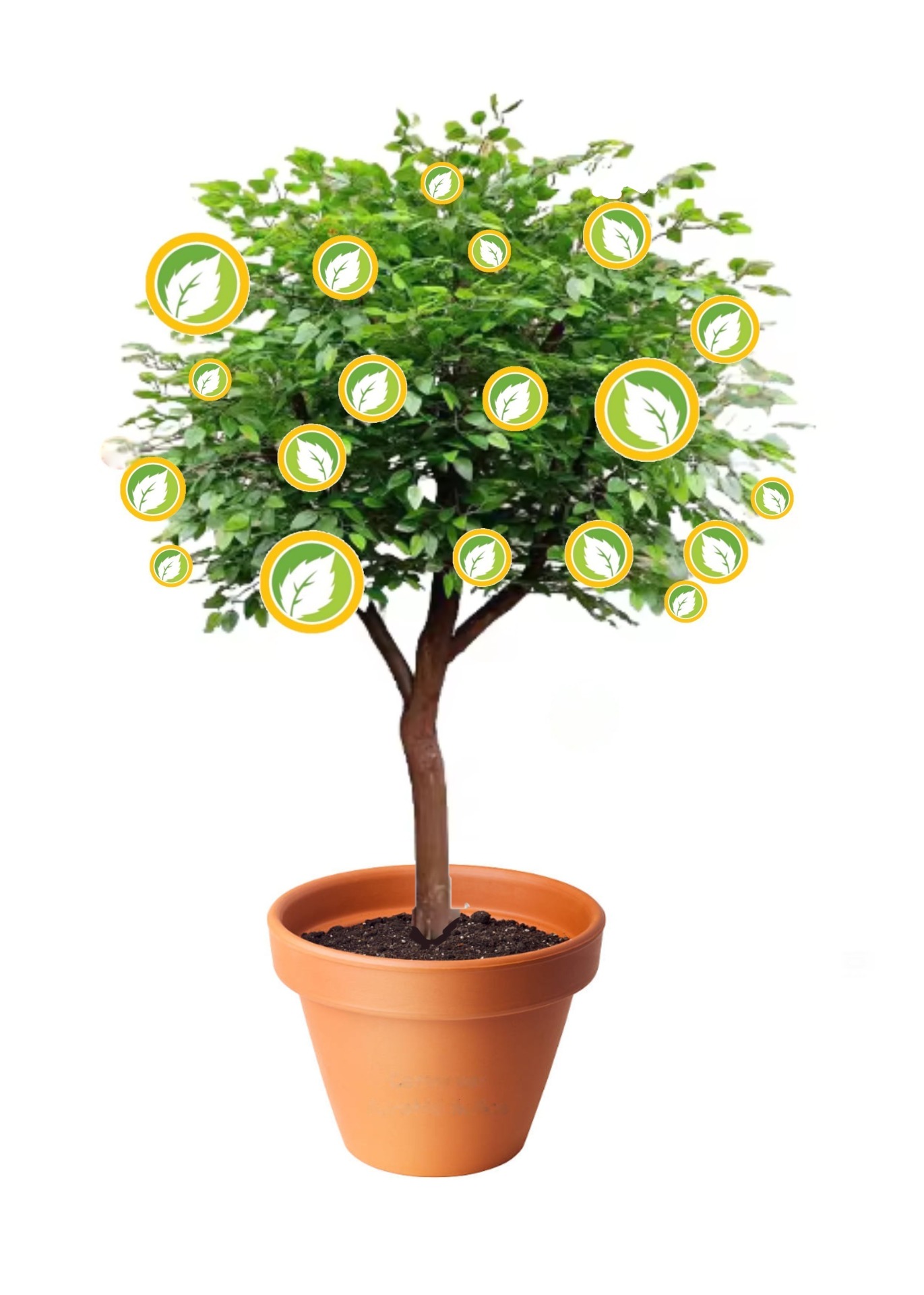 El trabajo da sus frutos (8,7)