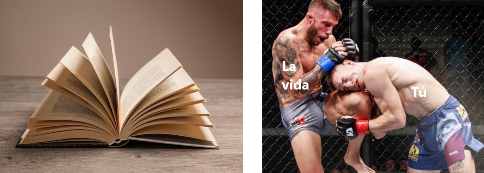 ¡Abre tu cabeza!!! (6,9)