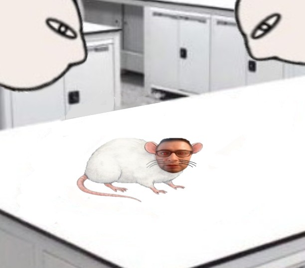 Rata de laboratorio (7,3)