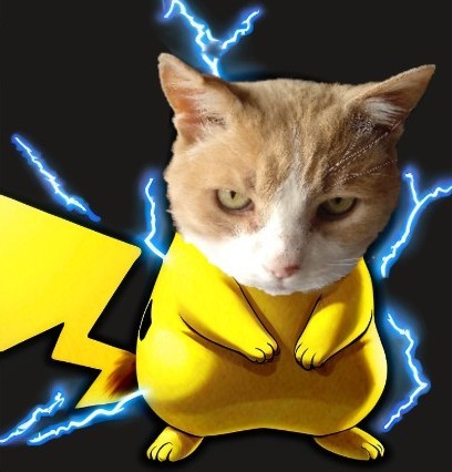 Pitachu (8,3)