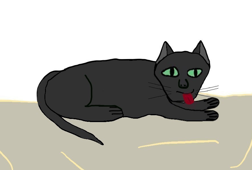 Retrato a Misha (8,8)